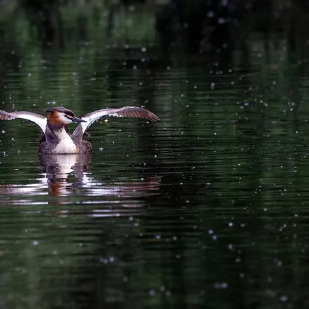 Apartamento Peulenstraat 224 Hardinxveld-Giessendam